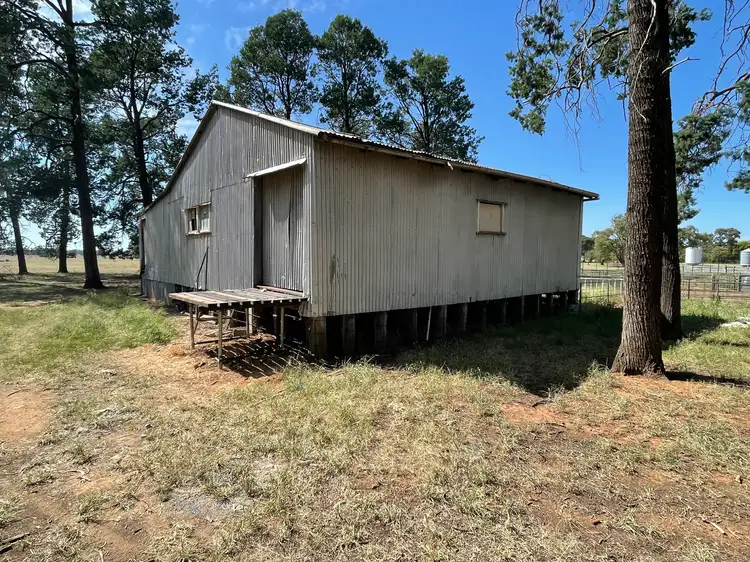 Third view of Homely rural property listing, 195 Broughtons Lane, Yerong Creek NSW 2642