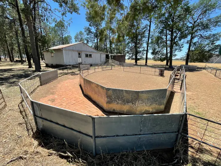 Fifth view of Homely rural property listing, 195 Broughtons Lane, Yerong Creek NSW 2642