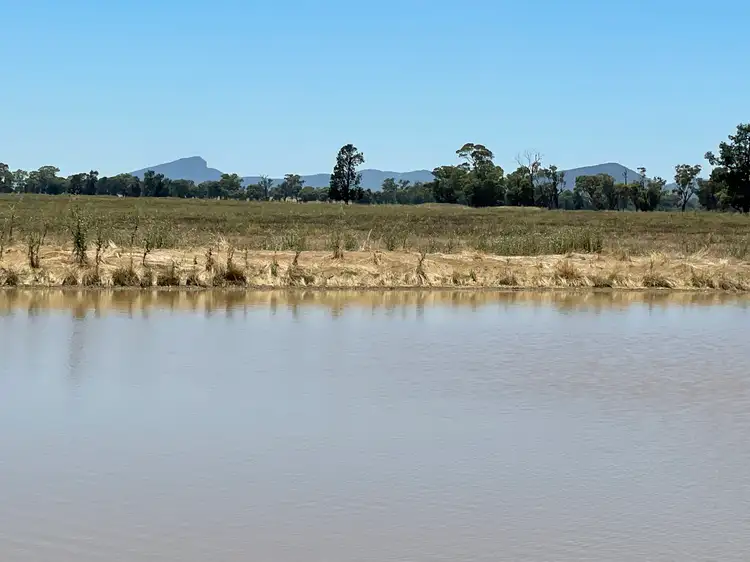 Seventh view of Homely rural property listing, 195 Broughtons Lane, Yerong Creek NSW 2642