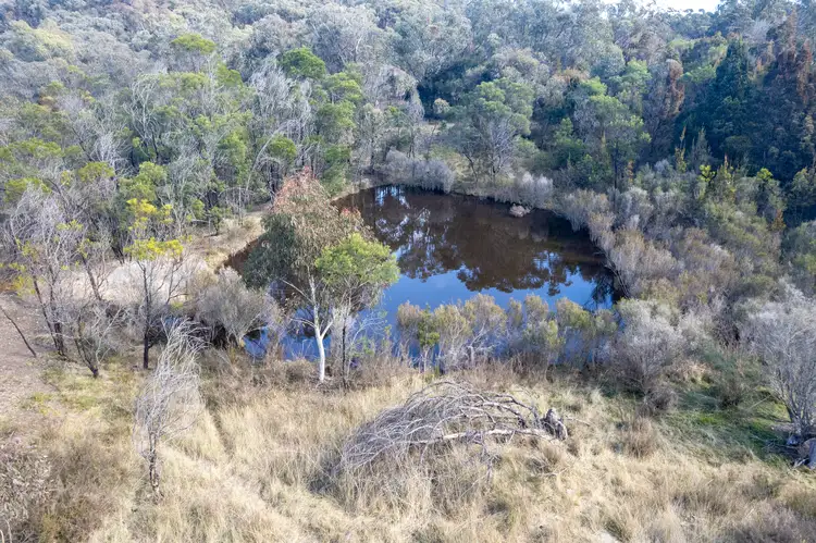 Fourth view of Homely rural property listing, Lot 7 974 Jerrara Road, Marulan NSW 2579