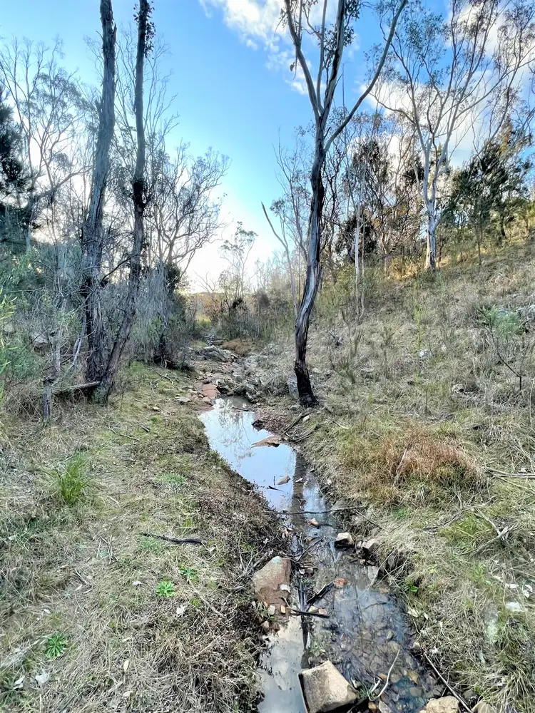 Second view of Homely rural property listing, Lot 93 Jerrara Road, Marulan NSW 2579