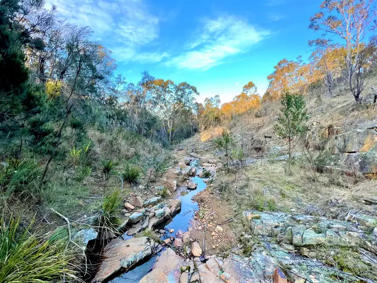 Fourth view of Homely rural property listing, Lot 93 Jerrara Road, Marulan NSW 2579