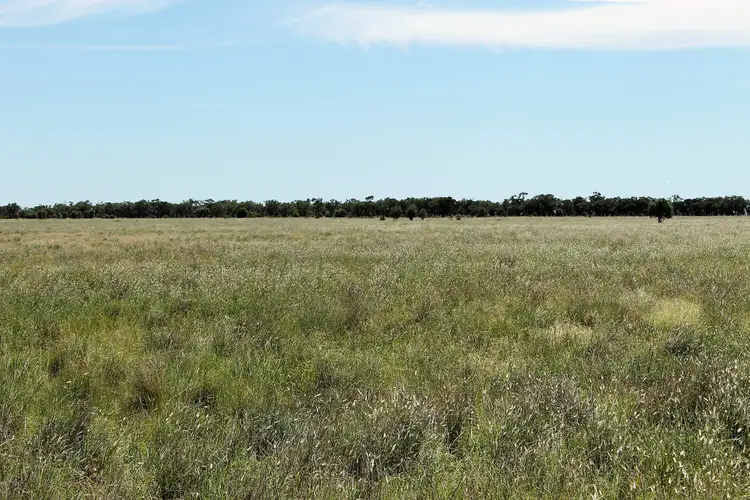 "Willawillingbah" Goodooga Road