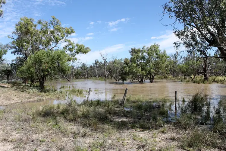 Second view of Homely rural property listing, "Willawillingbah" Goodooga Road, Brewarrina NSW 2839
