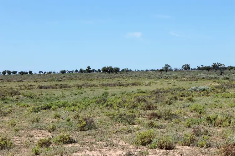 Third view of Homely rural property listing, "Willawillingbah" Goodooga Road, Brewarrina NSW 2839