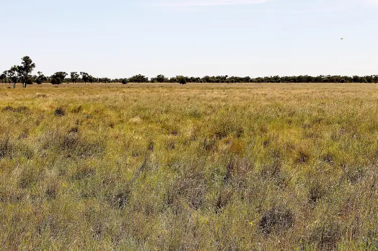 Fourth view of Homely rural property listing, "Willawillingbah" Goodooga Road, Brewarrina NSW 2839