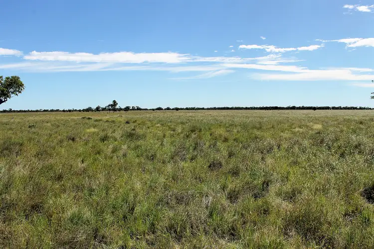 Fifth view of Homely rural property listing, "Willawillingbah" Goodooga Road, Brewarrina NSW 2839