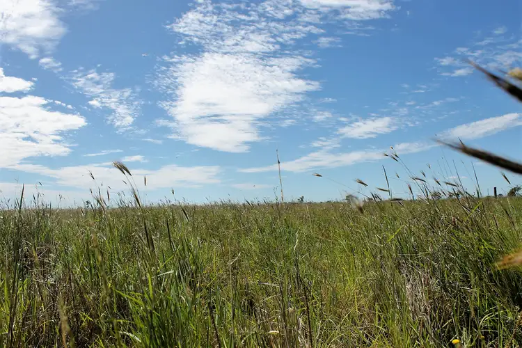 Sixth view of Homely rural property listing, "Willawillingbah" Goodooga Road, Brewarrina NSW 2839