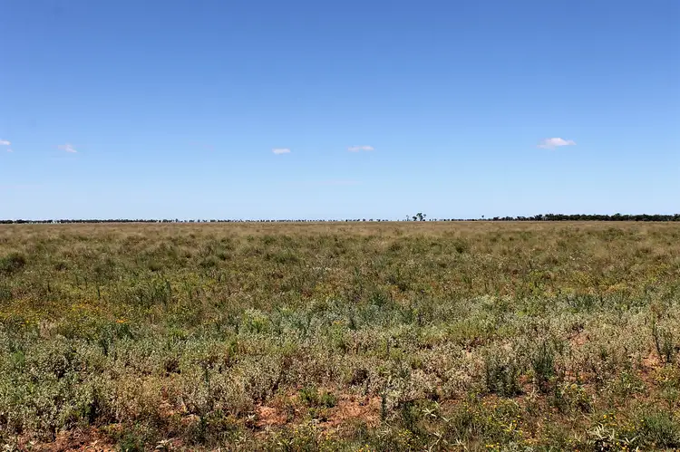 Seventh view of Homely rural property listing, "Willawillingbah" Goodooga Road, Brewarrina NSW 2839