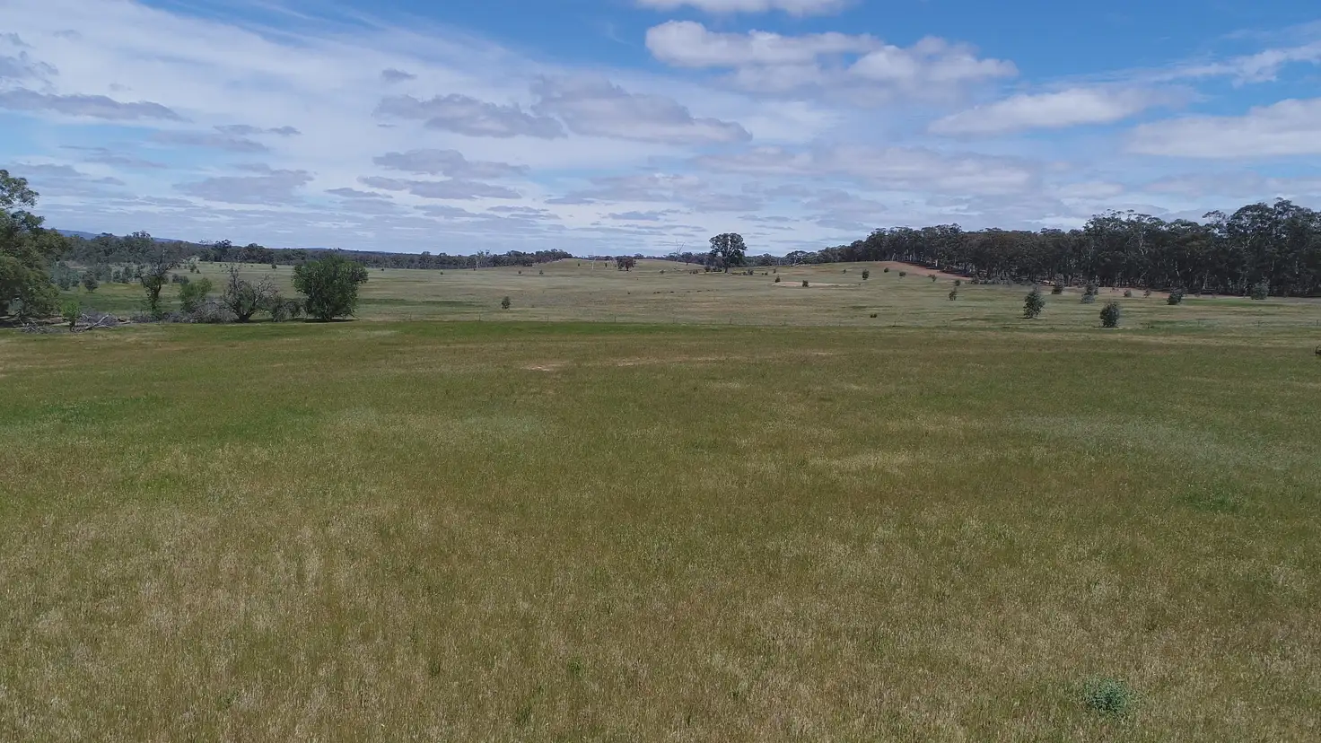 Main view of Homely rural property listing, Crown Allotment 43 Carapooee Road, Carapooee VIC 3477