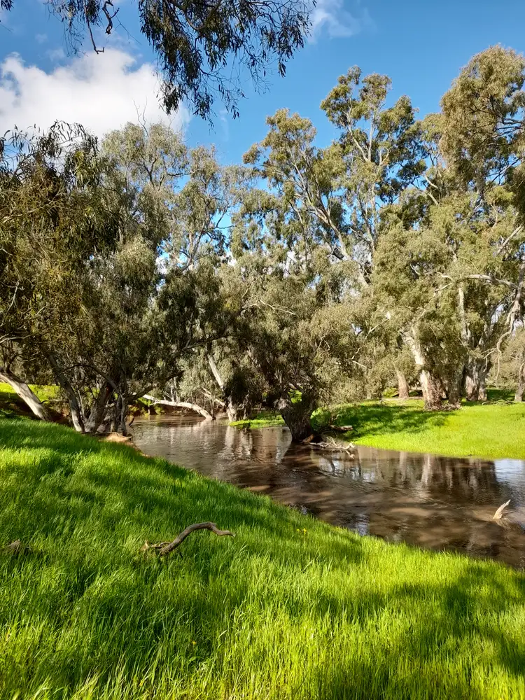 Fourth view of Homely rural property listing, Crown Allotment 43 Carapooee Road, Carapooee VIC 3477