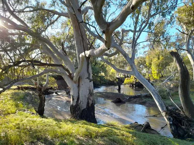 Fifth view of Homely rural property listing, Crown Allotment 43 Carapooee Road, Carapooee VIC 3477