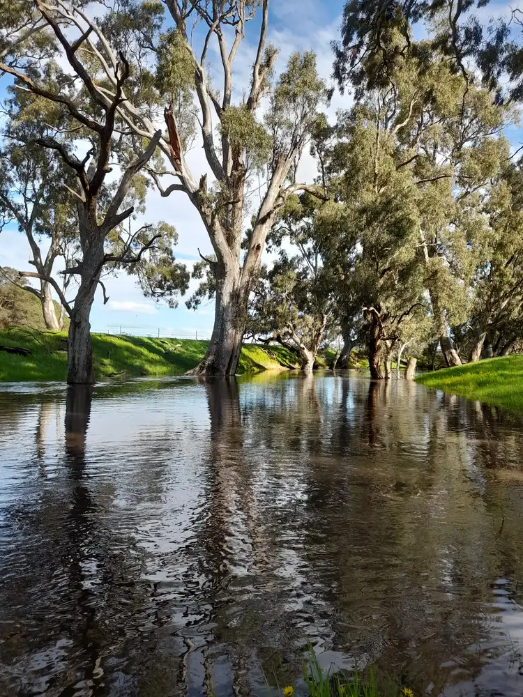Sixth view of Homely rural property listing, Crown Allotment 43 Carapooee Road, Carapooee VIC 3477