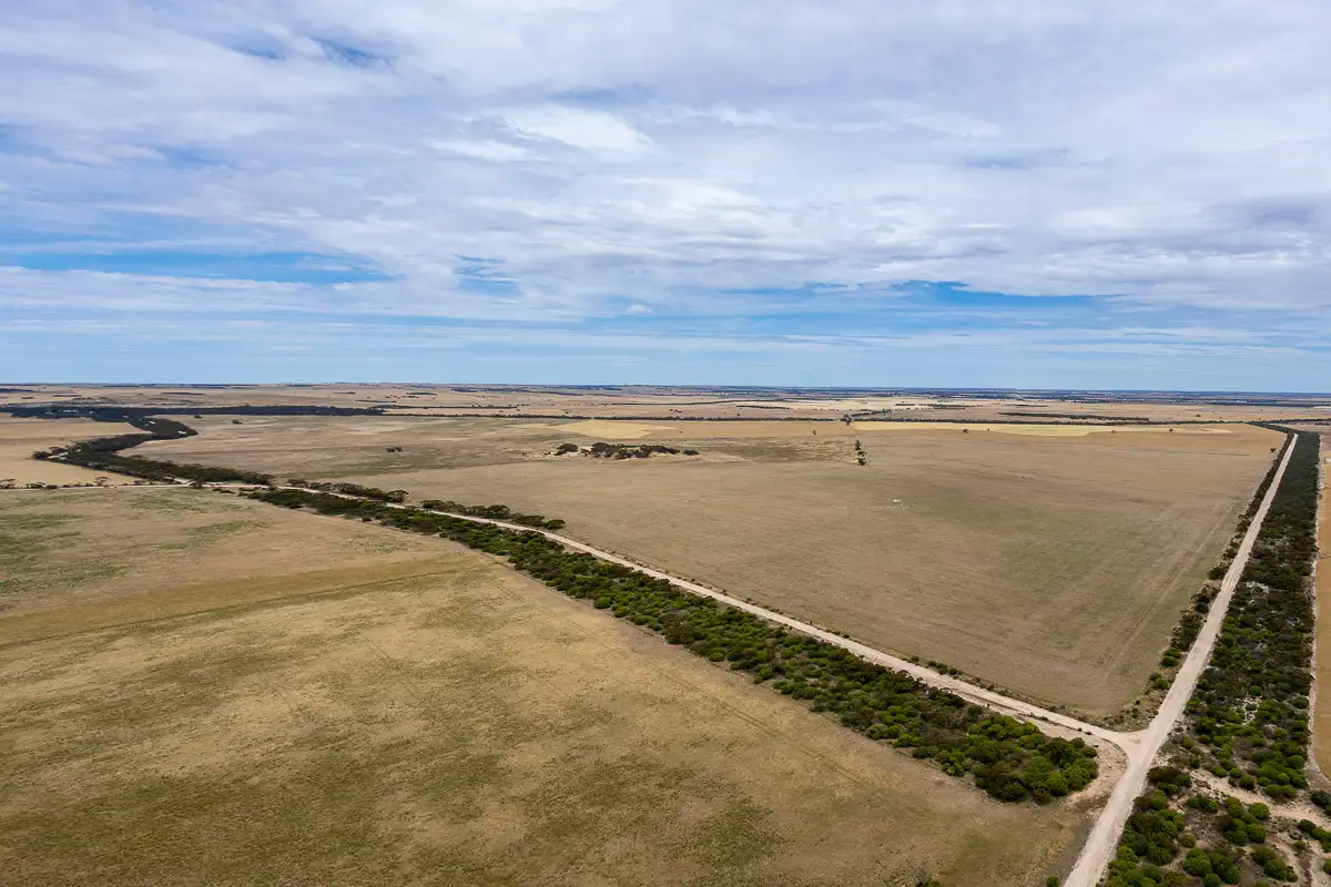 Main view of Homely rural property listing, 2372 Kulkawurra Road, Sherlock SA 5301