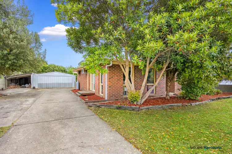 Main view of Homely house listing, 38 Rose Street, Alexandra VIC 3714