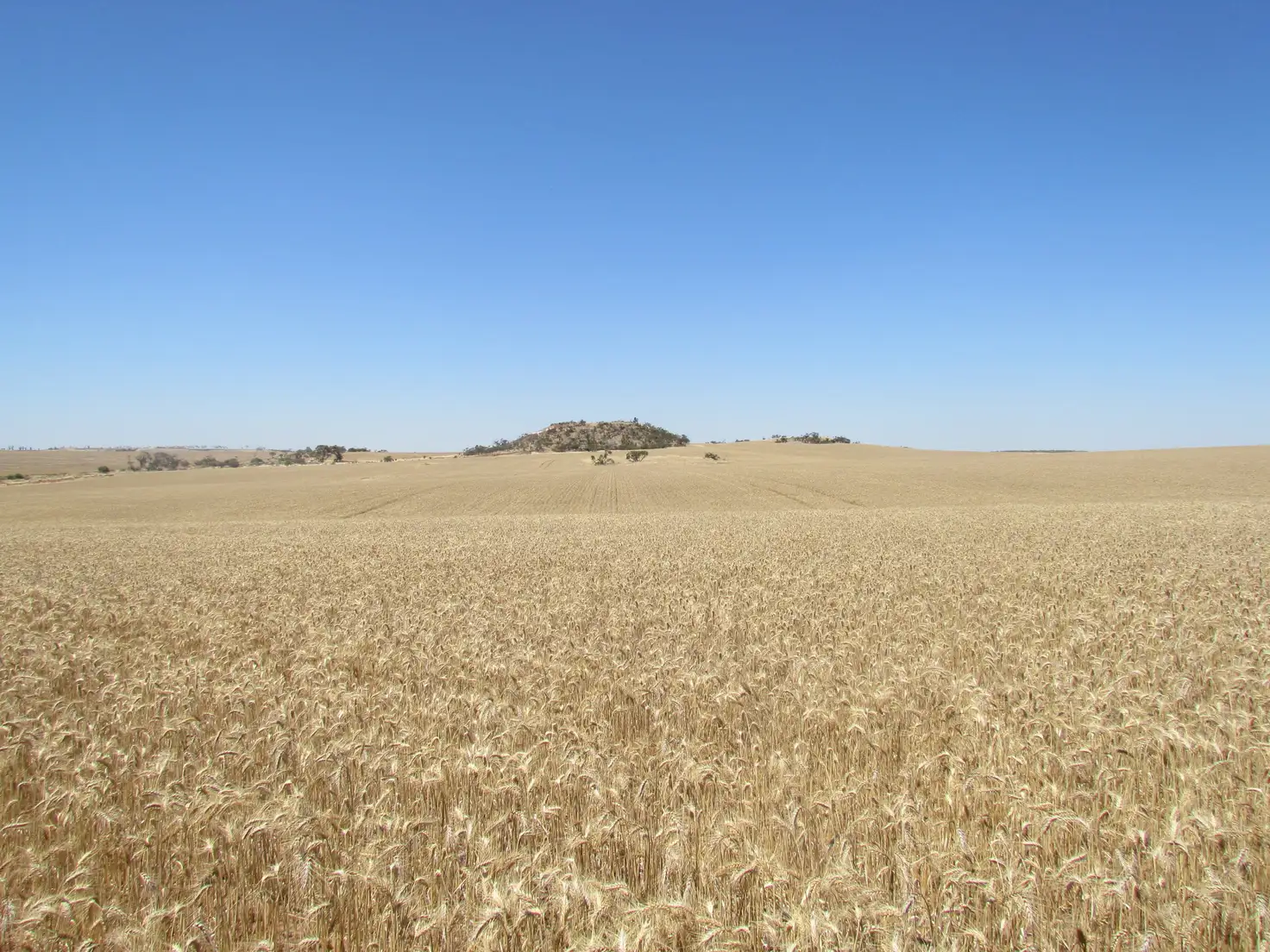 Main view of Homely rural property listing, Address available on request