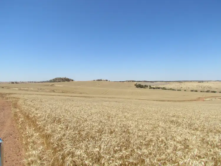 Fourth view of Homely rural property listing, Address available on request