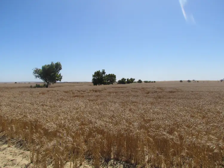 Seventh view of Homely rural property listing, Address available on request