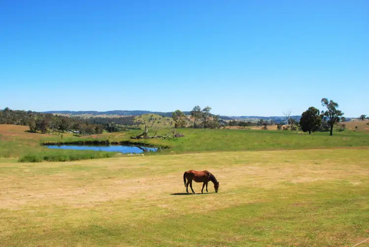 Second view of Homely rural property listing, 207 Oxley Drive, Walcha NSW 2354