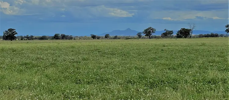 Main view of Homely rural property listing, 411 County Boundary Road, Milbrulong NSW 2656
