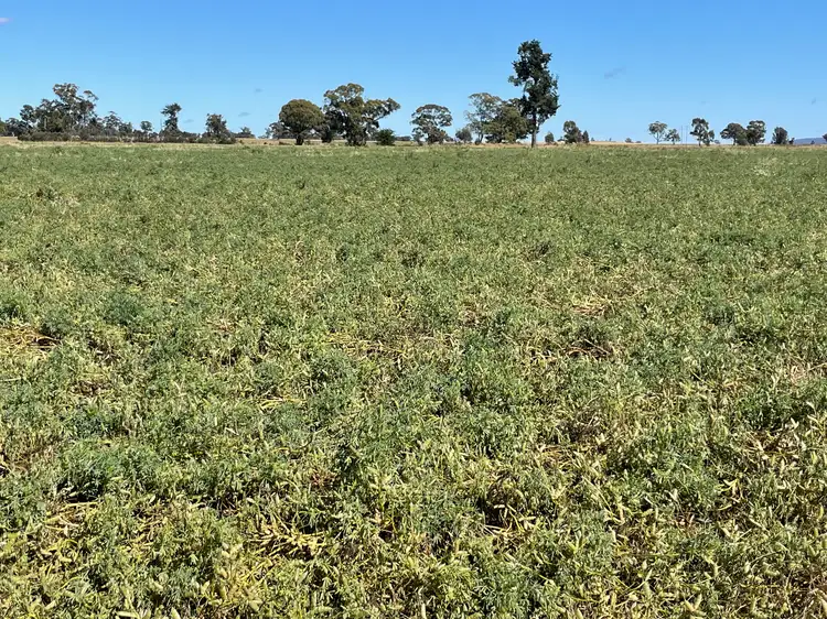 Third view of Homely rural property listing, 411 County Boundary Road, Milbrulong NSW 2656