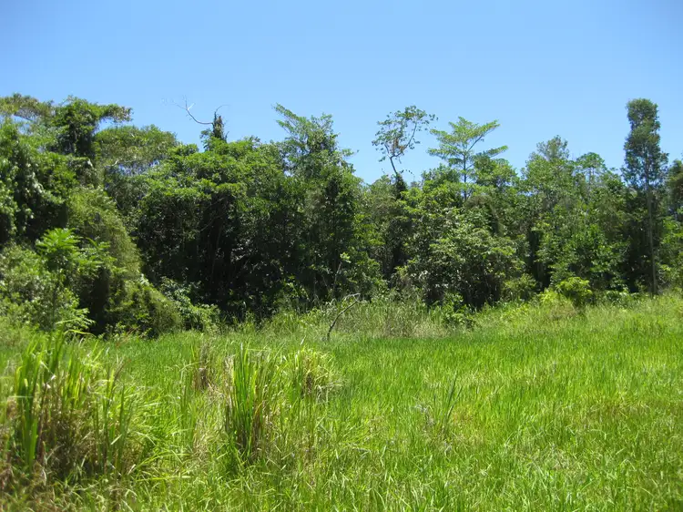 Fifth view of Homely rural property listing, 0 Tully-Mission Beach Road, Wongaling Beach QLD 4852