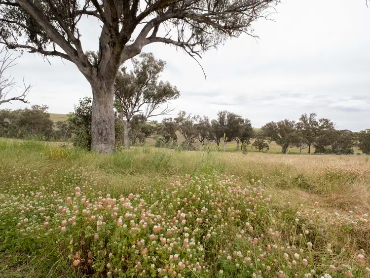 Fourth view of Homely rural property listing, 3018 New England Highway, Wallabadah NSW 2343