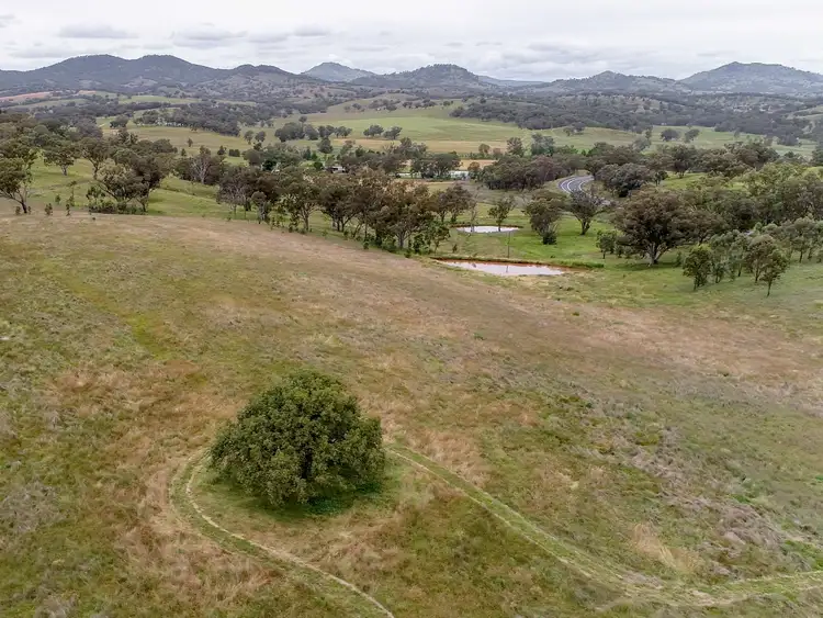 Sixth view of Homely rural property listing, 3018 New England Highway, Wallabadah NSW 2343