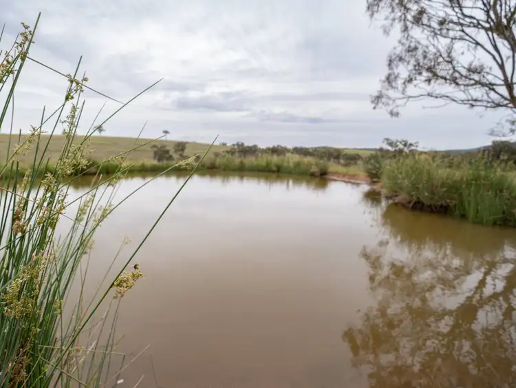 Seventh view of Homely rural property listing, 3018 New England Highway, Wallabadah NSW 2343