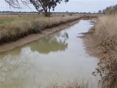 Sixth view of Homely rural property listing, 93 Stringers Road, Boort VIC 3537