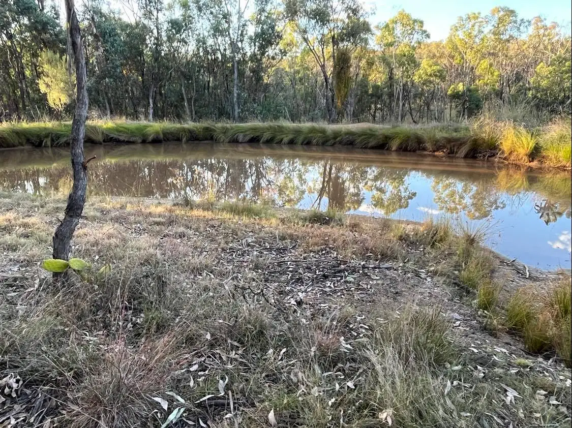 Main view of Homely land listing, LOT 1 Cunningham Highway, Gore QLD 4352