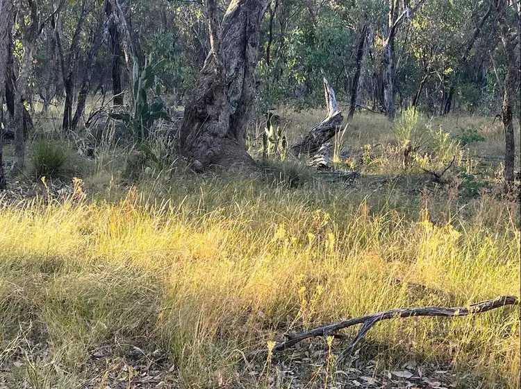 Third view of Homely land listing, LOT 1 Cunningham Highway, Gore QLD 4352