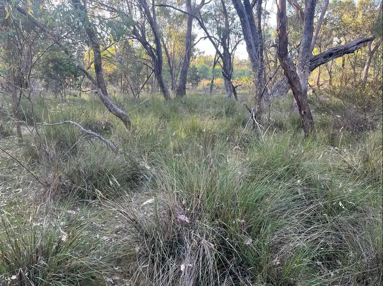 Fifth view of Homely land listing, LOT 1 Cunningham Highway, Gore QLD 4352