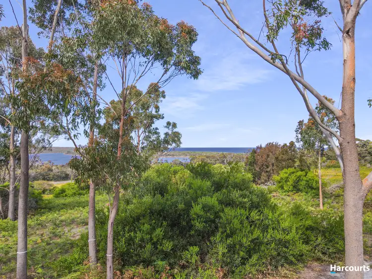 Second view of Homely land listing, 27 Lanark Lane, St Helens TAS 7216