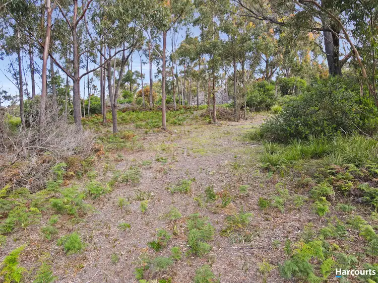 Seventh view of Homely land listing, 27 Lanark Lane, St Helens TAS 7216