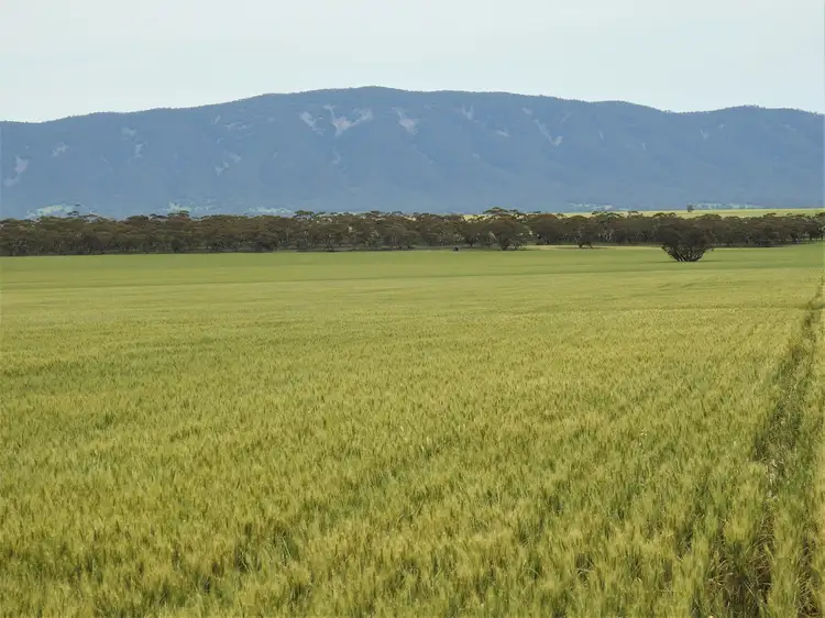 1114 Booleroo Road, Booleroo Centre SA 5482
