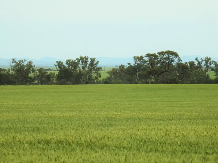 Second view of Homely rural property listing, 1114 Booleroo Road, Booleroo Centre SA 5482
