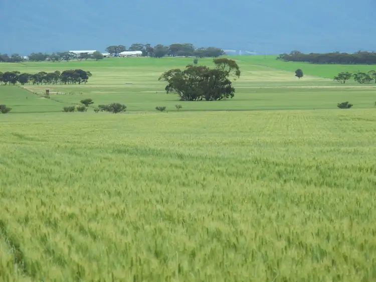 Third view of Homely rural property listing, 1114 Booleroo Road, Booleroo Centre SA 5482