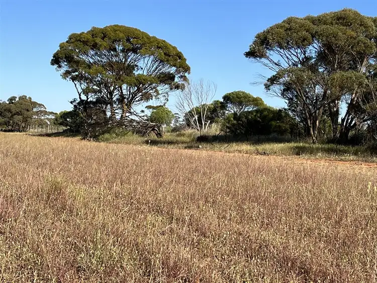 Second view of Homely rural property listing, . Lot 226 Mulji Road, Koorda WA 6475
