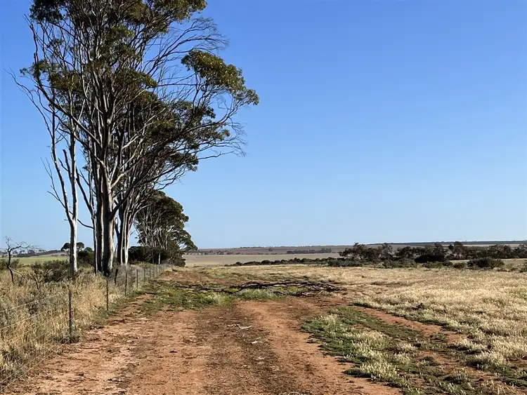 Fifth view of Homely rural property listing, . Lot 226 Mulji Road, Koorda WA 6475
