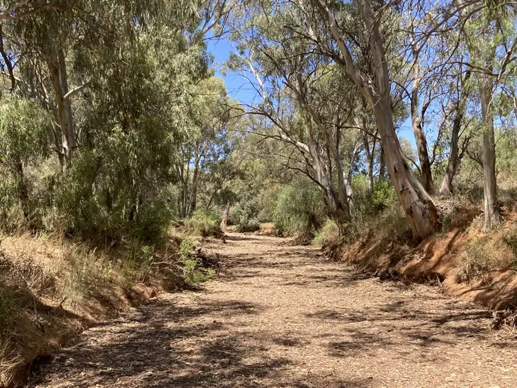 Sixth view of Homely rural property listing, 105 Gleeson Road, Yanyarrie SA 5432