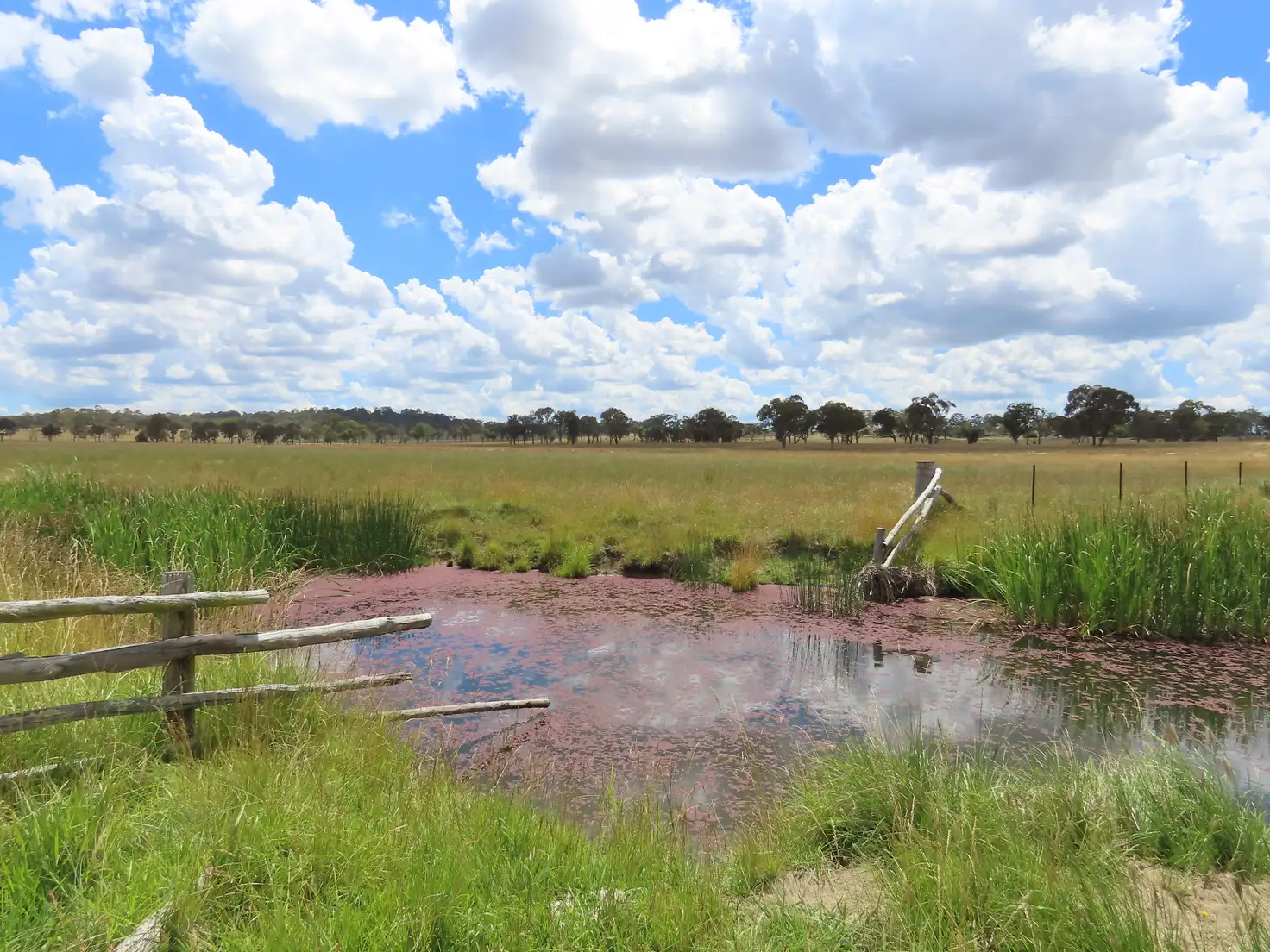 Main view of Homely rural property listing, 289/1 Rangers Valley Road, Dundee NSW 2370