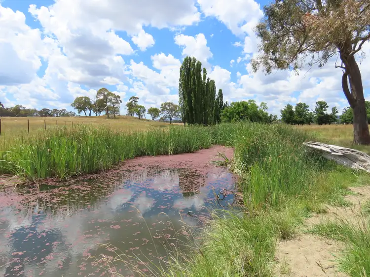 Third view of Homely rural property listing, 289/1 Rangers Valley Road, Dundee NSW 2370