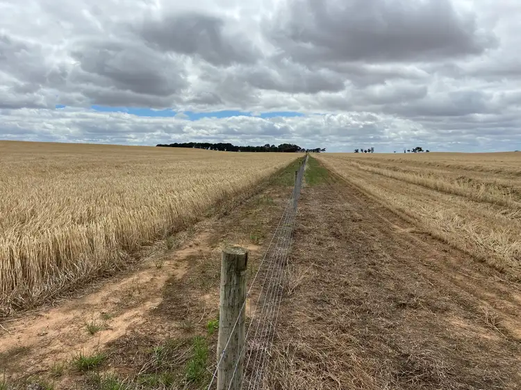Fourth view of Homely rural property listing, 446 Orwell Rd, Lameroo SA 5302