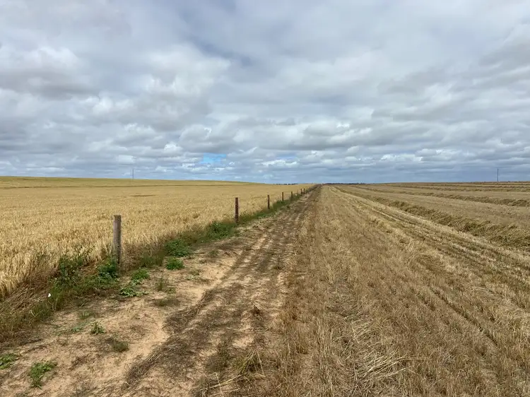 Fifth view of Homely rural property listing, 446 Orwell Rd, Lameroo SA 5302