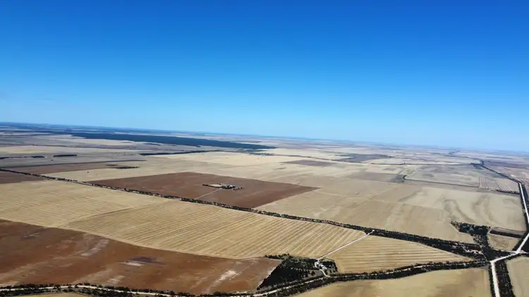 Seventh view of Homely rural property listing, 446 Orwell Rd, Lameroo SA 5302