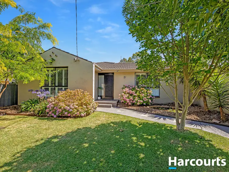 Main view of Homely house listing, 6 Walter Street, Wangaratta VIC 3677