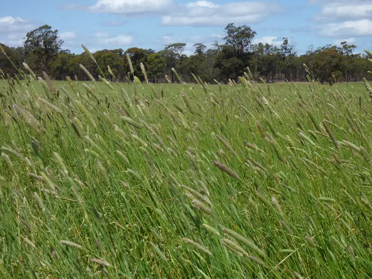 Seventh view of Homely rural property listing, Ca 8,8A & 8B Glynwylln Road, Green Creek Via, Stawell VIC 3380