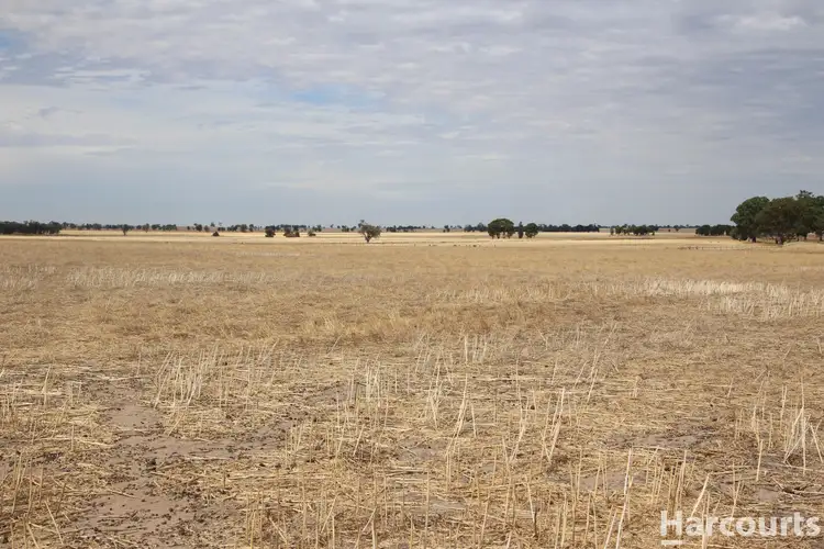 Seventh view of Homely rural property listing, . Clear Lake - Sherwoods Dam Road, Noradjuha VIC 3409
