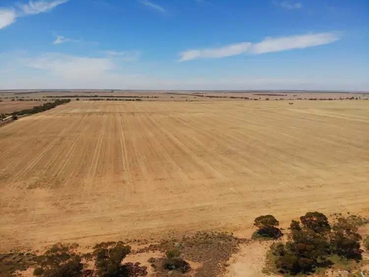 42 Scott Lane, Carwarp VIC 3494